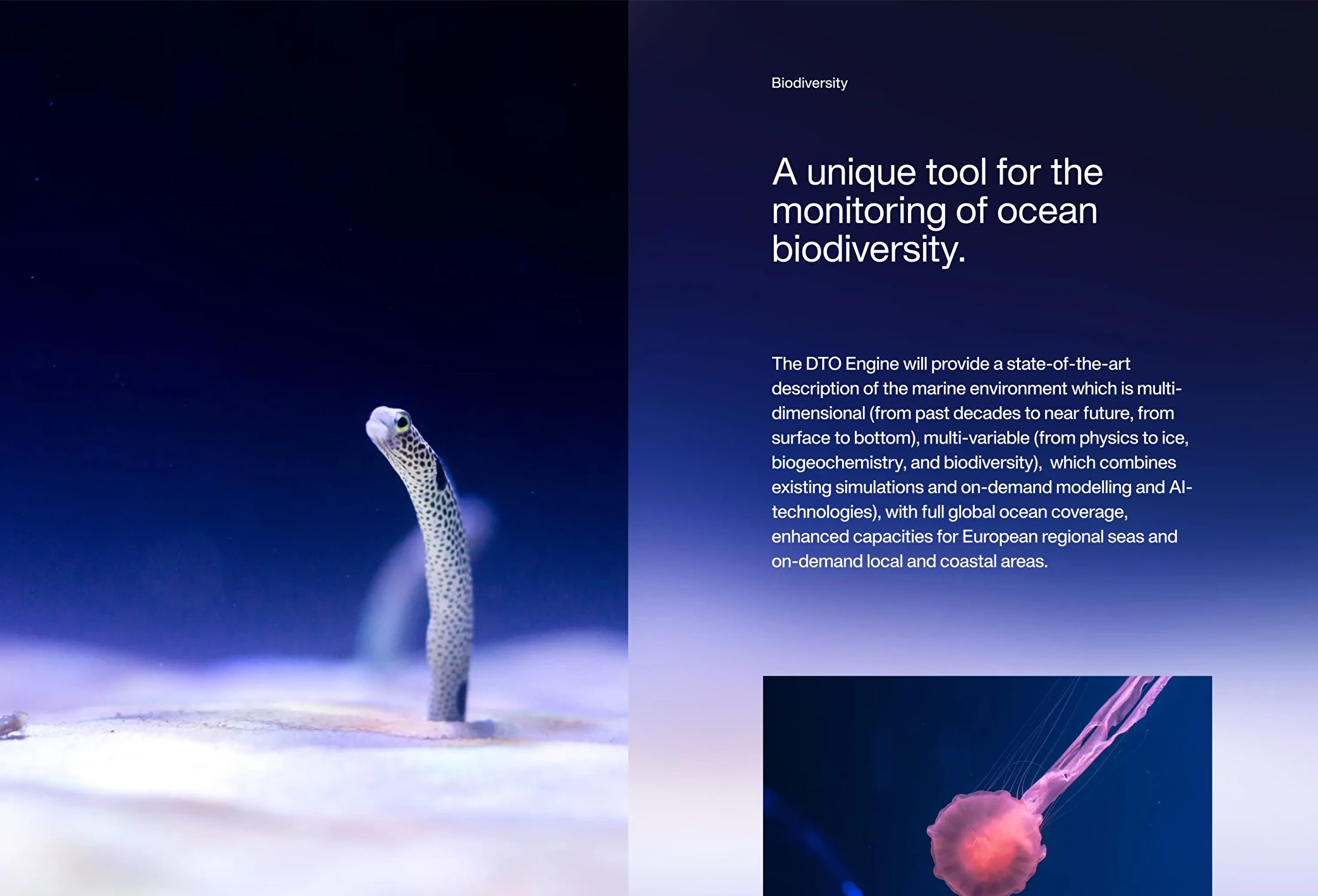 Snapshot of landing page Illustrating DTO engine's positive impact on biodiversity