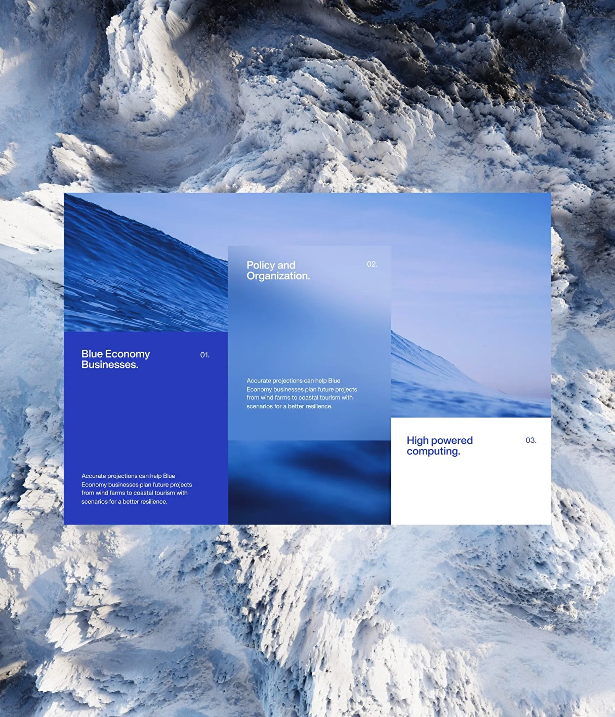 Landing page screenshot featuring key points of the marine wildlife conservation project, including marine biodiversity, pollution reduction, and community involvement.